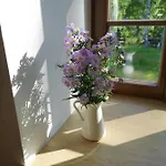 Na Jeleni Stezce