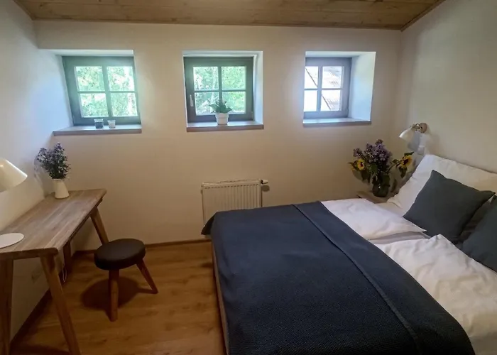Na Jeleni Stezce * Chřibská